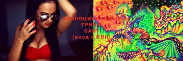 ГАЛЛЮЦИНОГЕННЫЕ ГРИБЫ Аркадак