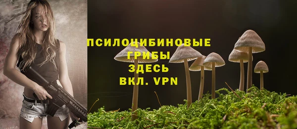героин Алзамай