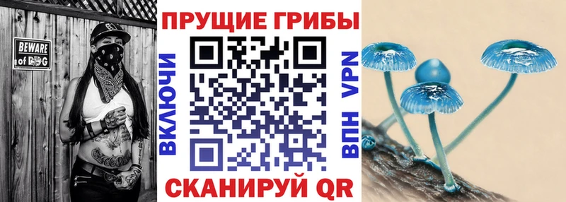 хочу Тюкалинск Галлюциногенные грибы мицелий